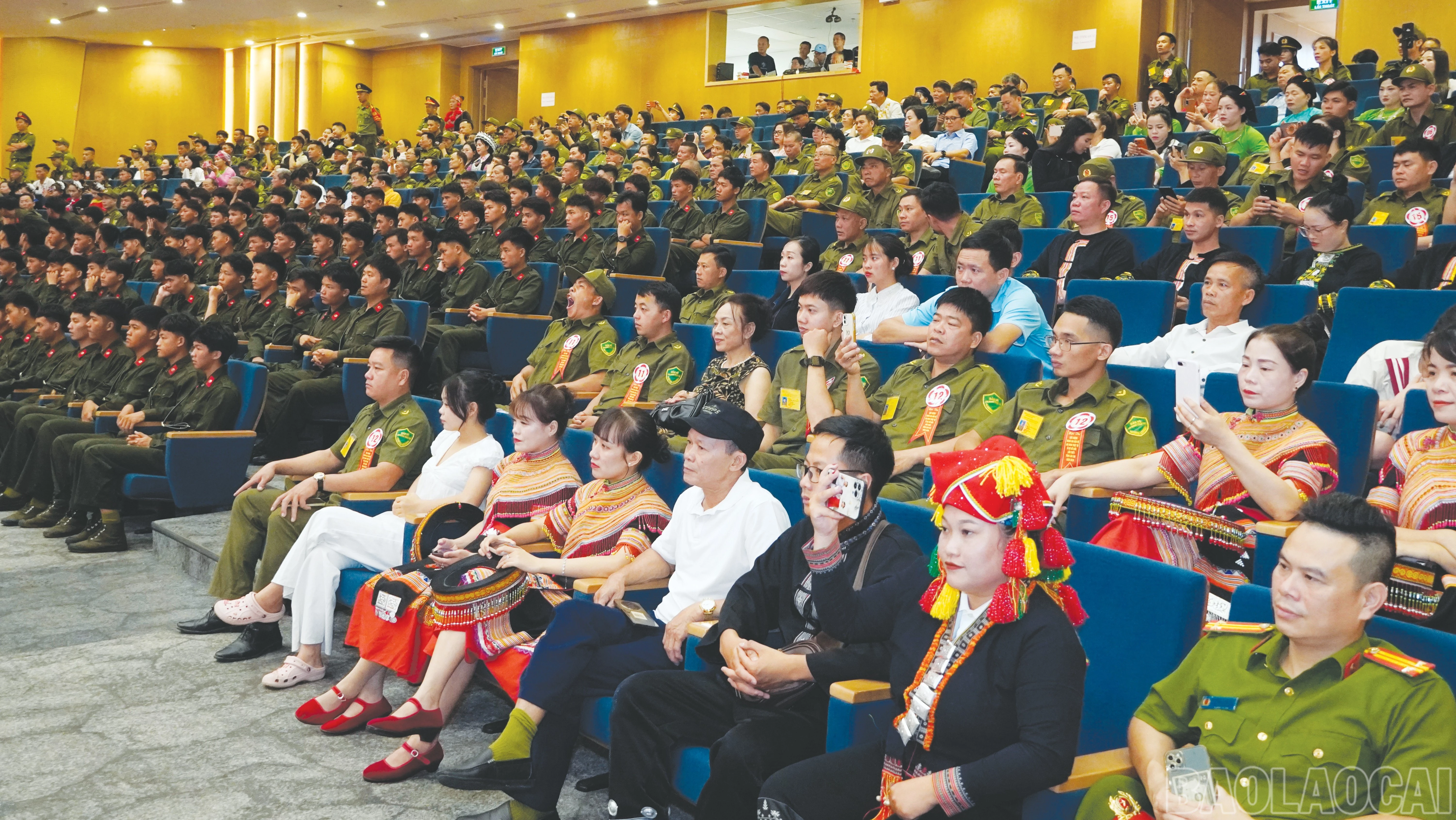 baolaocai-br_4-191.jpg
