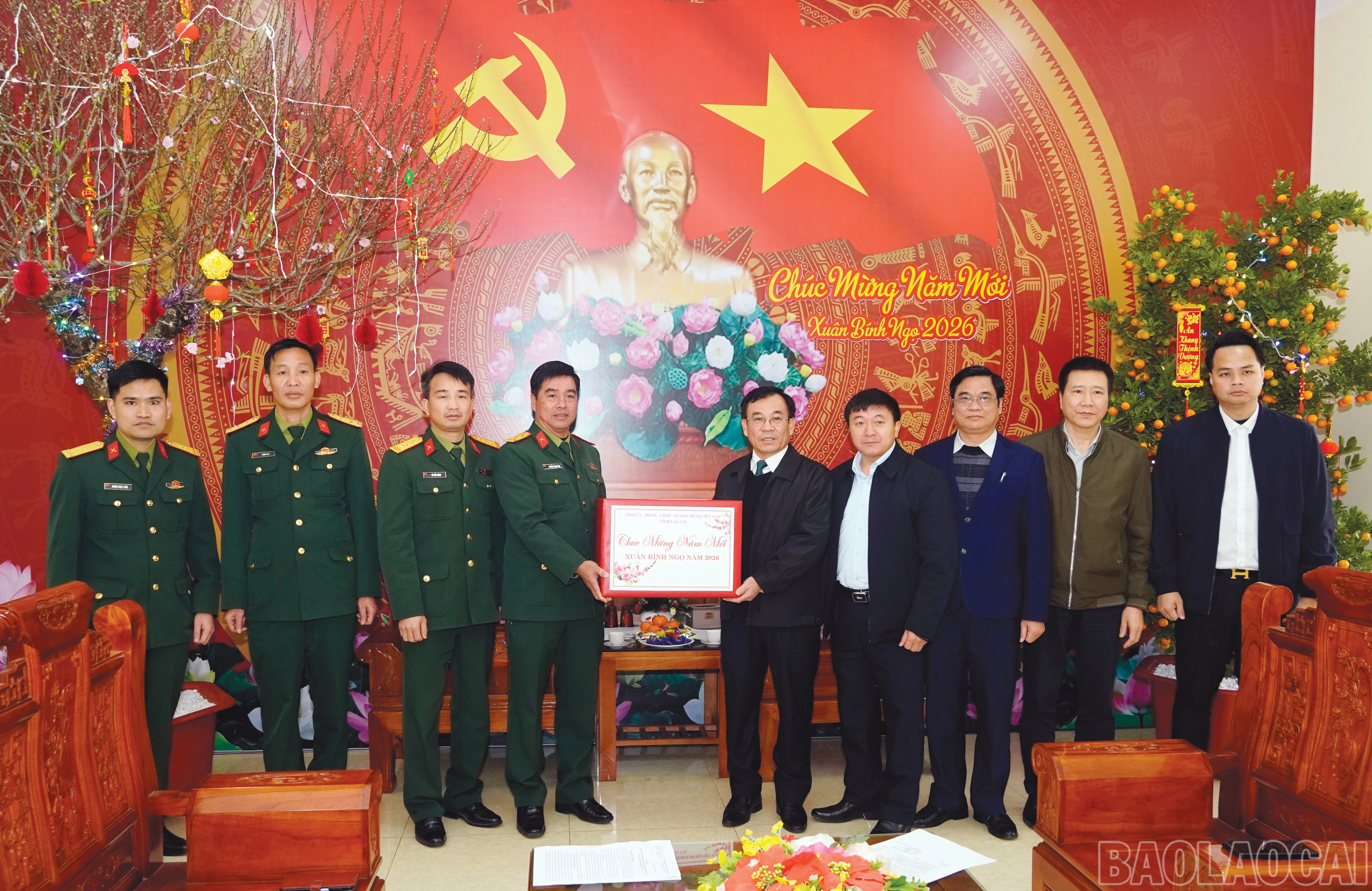 baolaocai-br_8.jpg