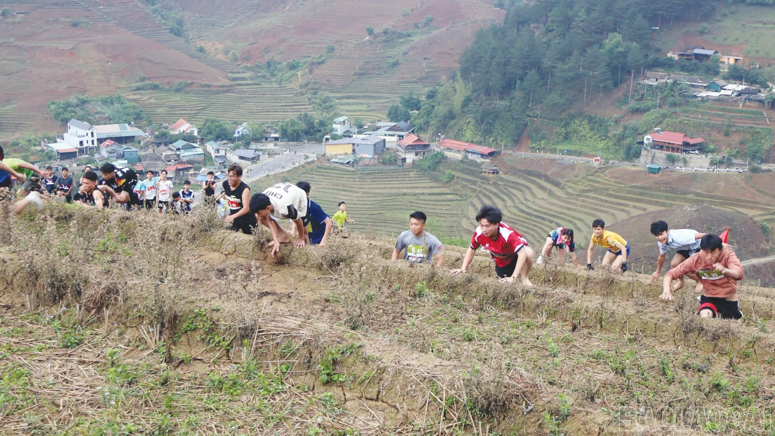 baolaocai-br_2-4312.jpg