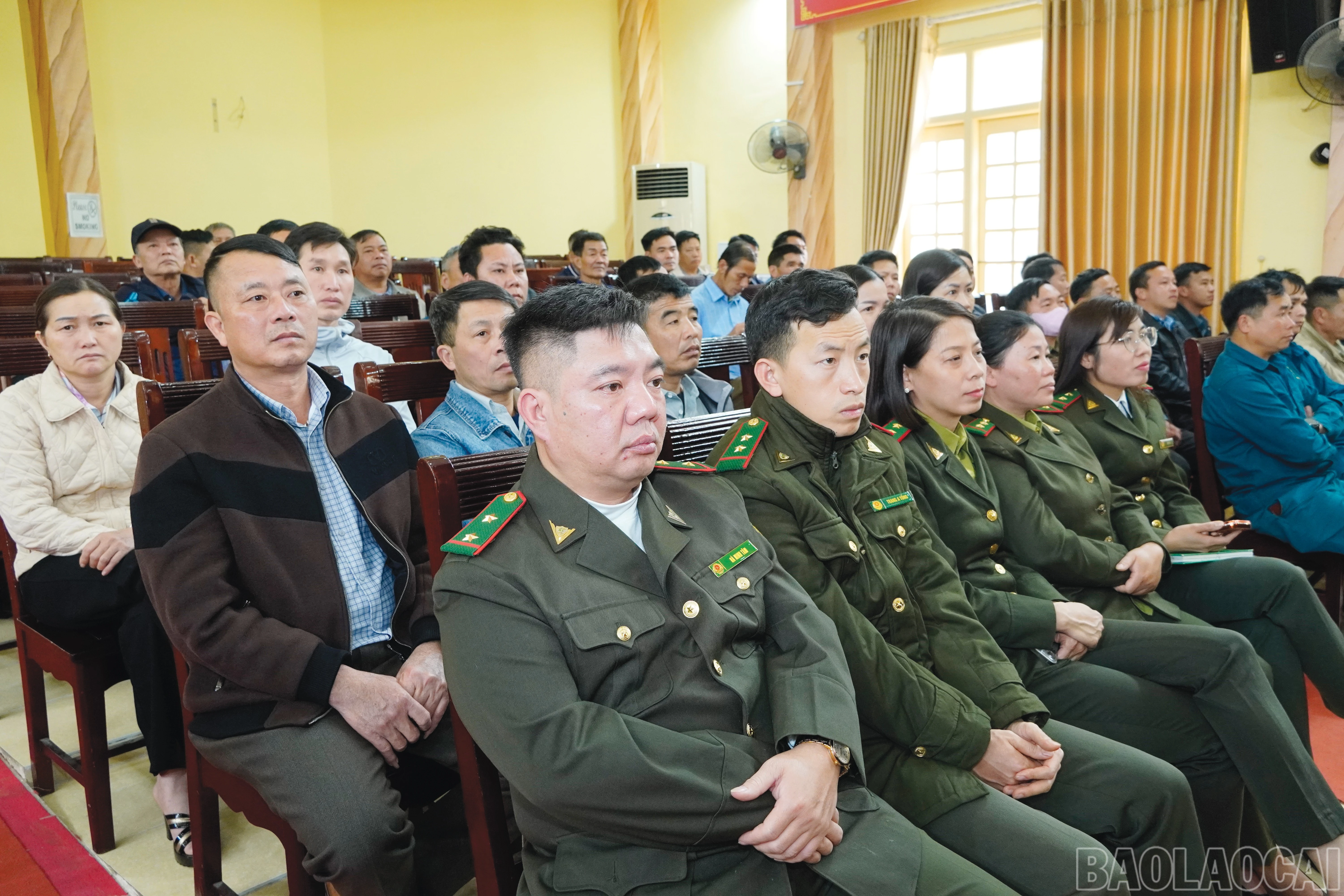 baolaocai-br_11.jpg