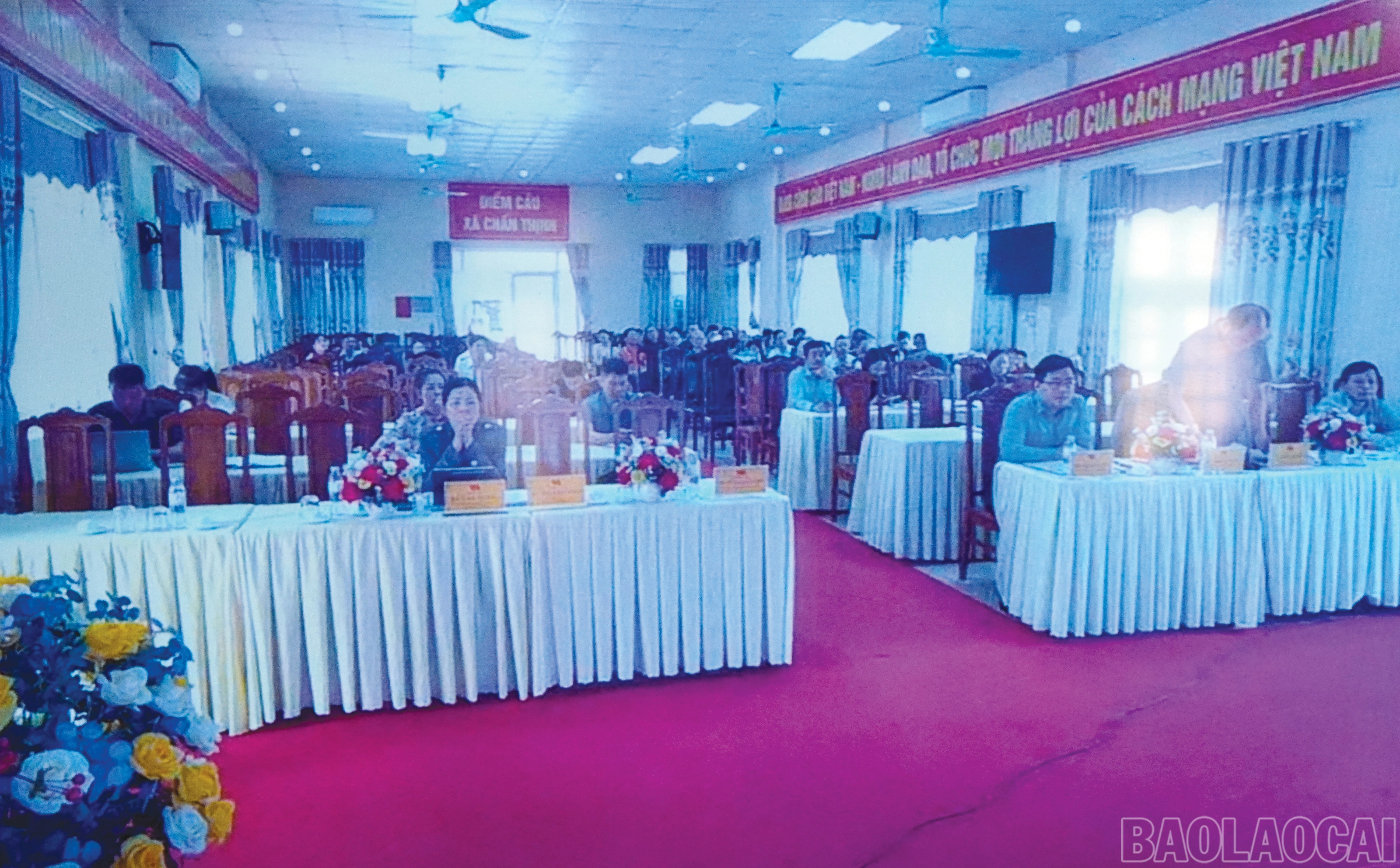 baolaocai-br_1-6847.jpg
