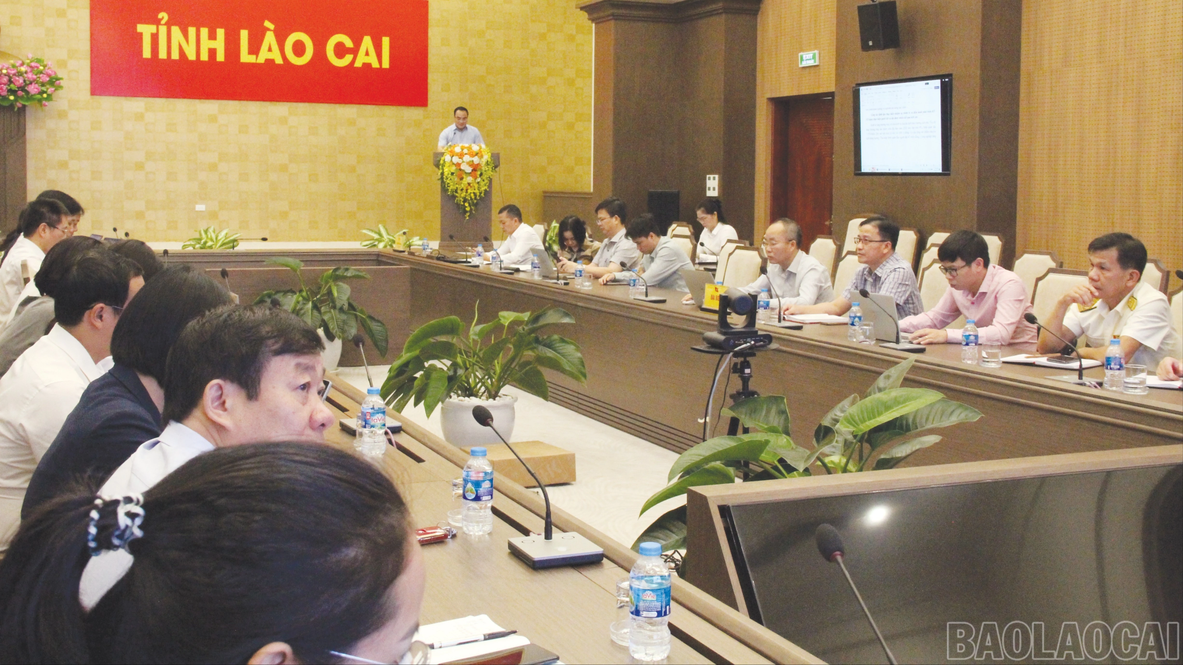 baolaocai-br_1-3015.jpg