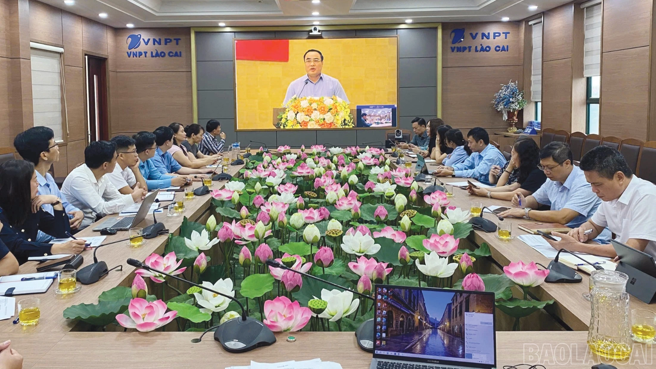 baolaocai-br_13-2446.jpg