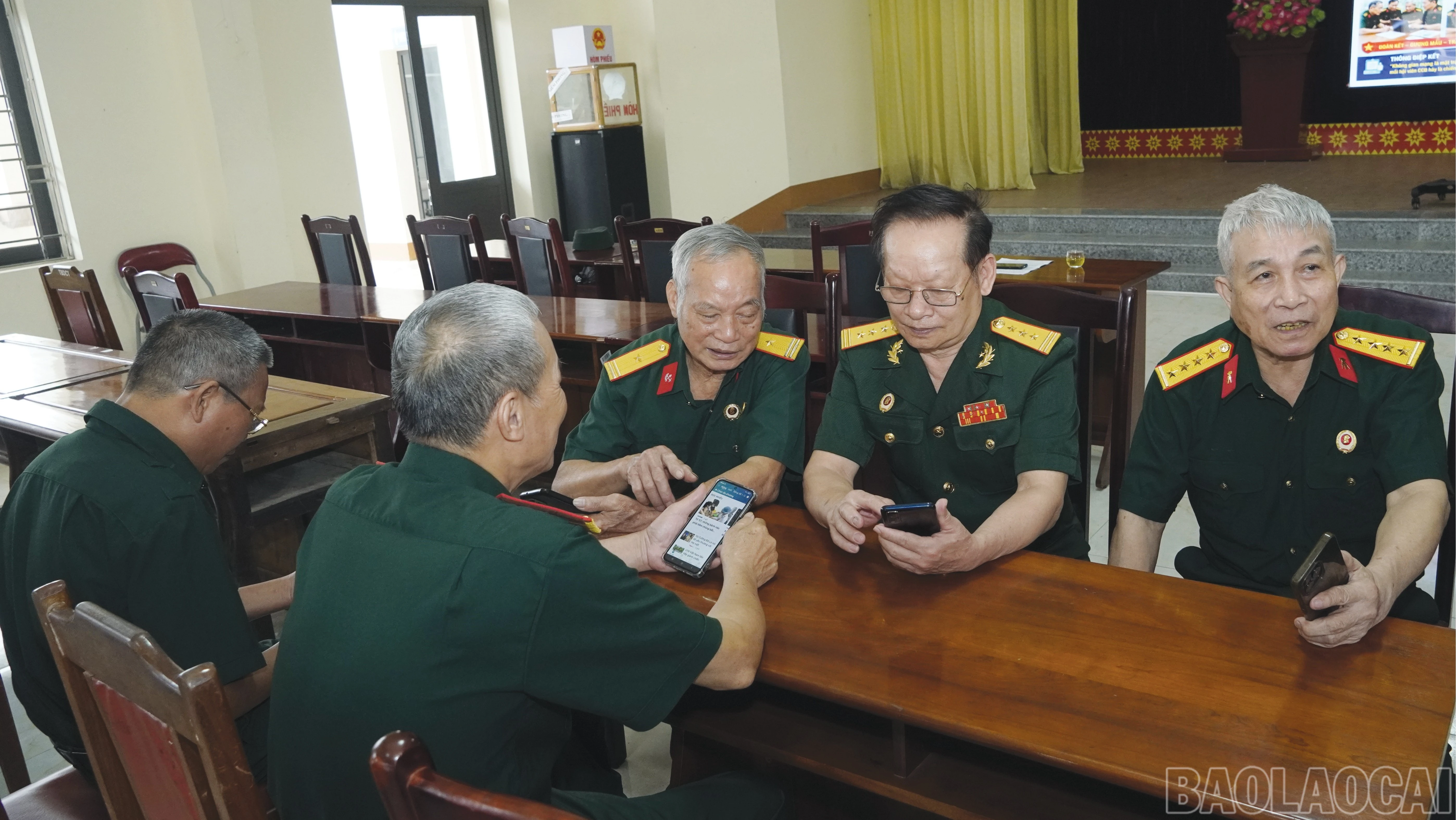 baolaocai-br_6-6304.jpg
