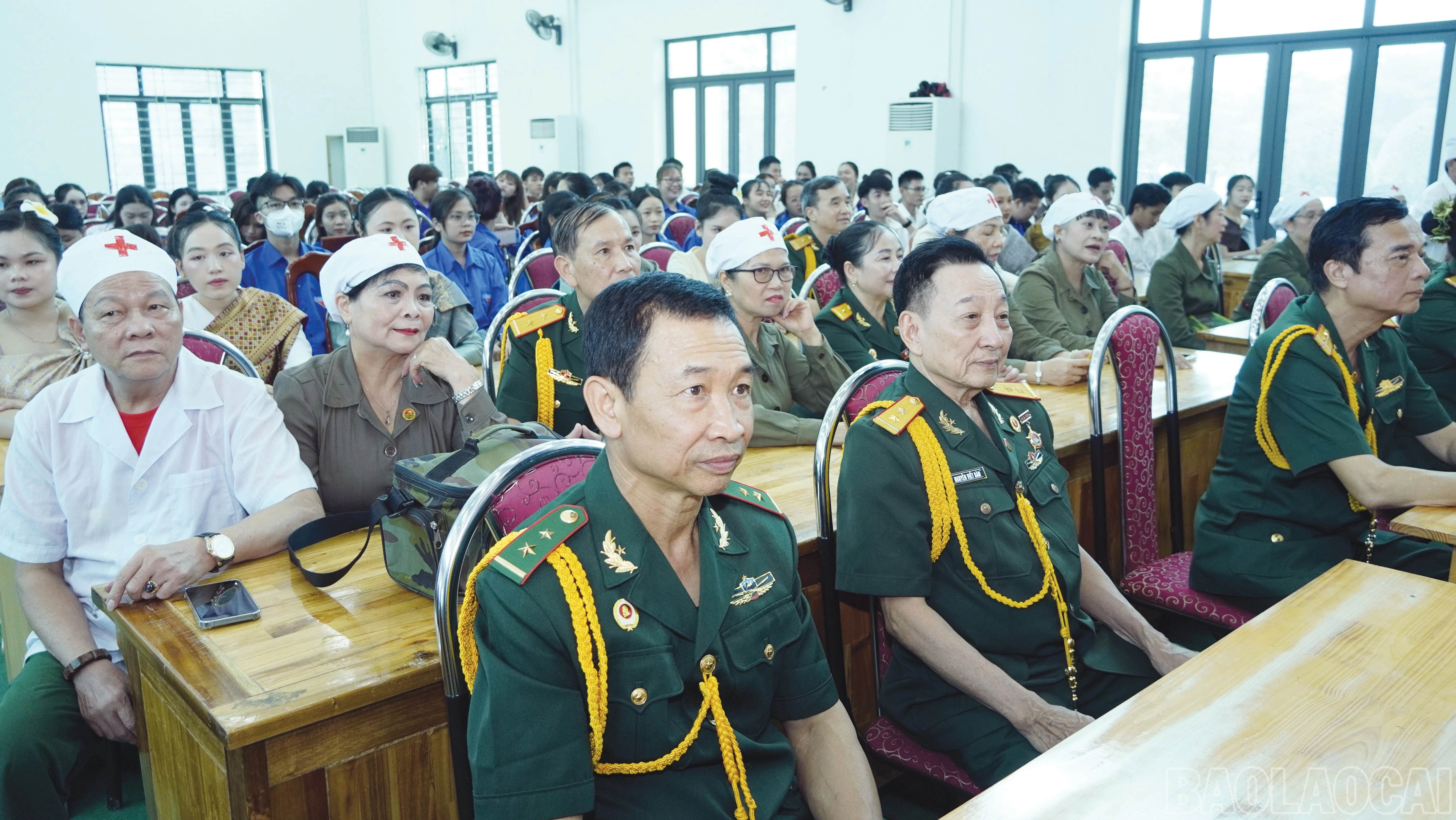baolaocai-br_3-3305.jpg