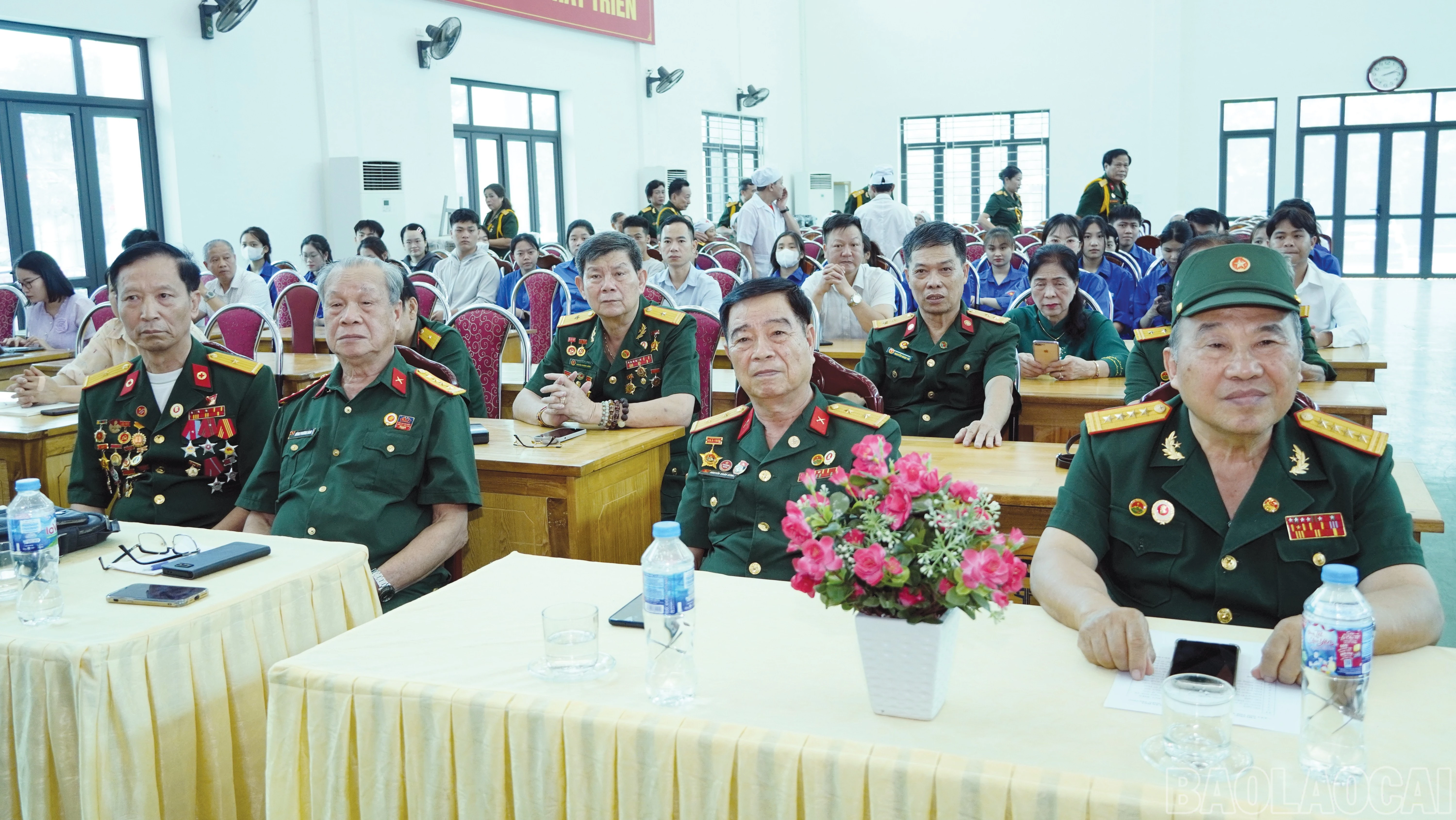 baolaocai-br_5-3367.jpg