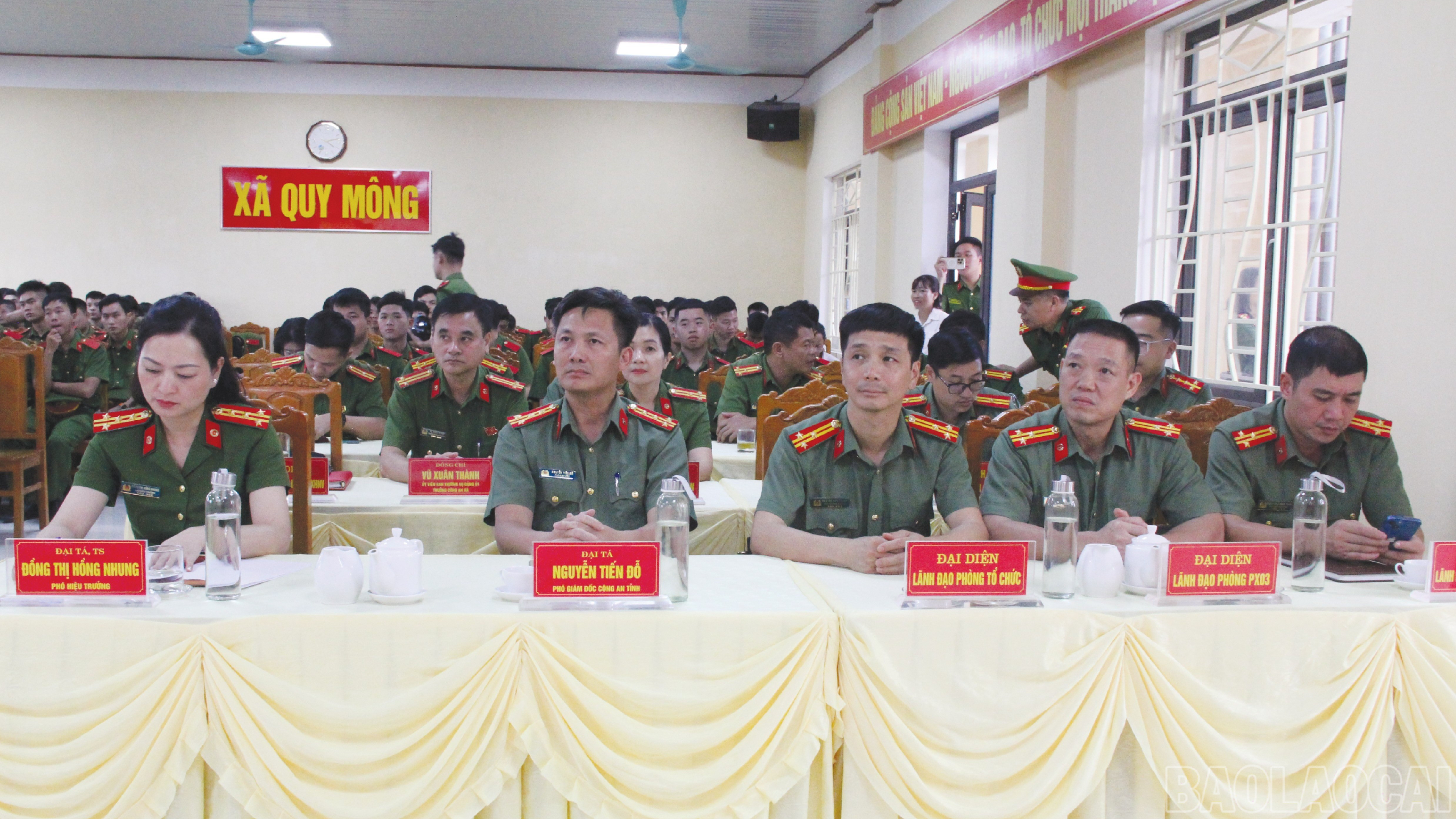 baolaocai-br_6-66.jpg