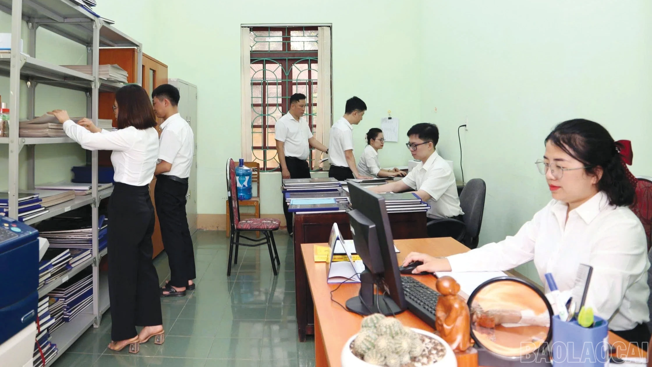 baolaocai-br_3-8381.png