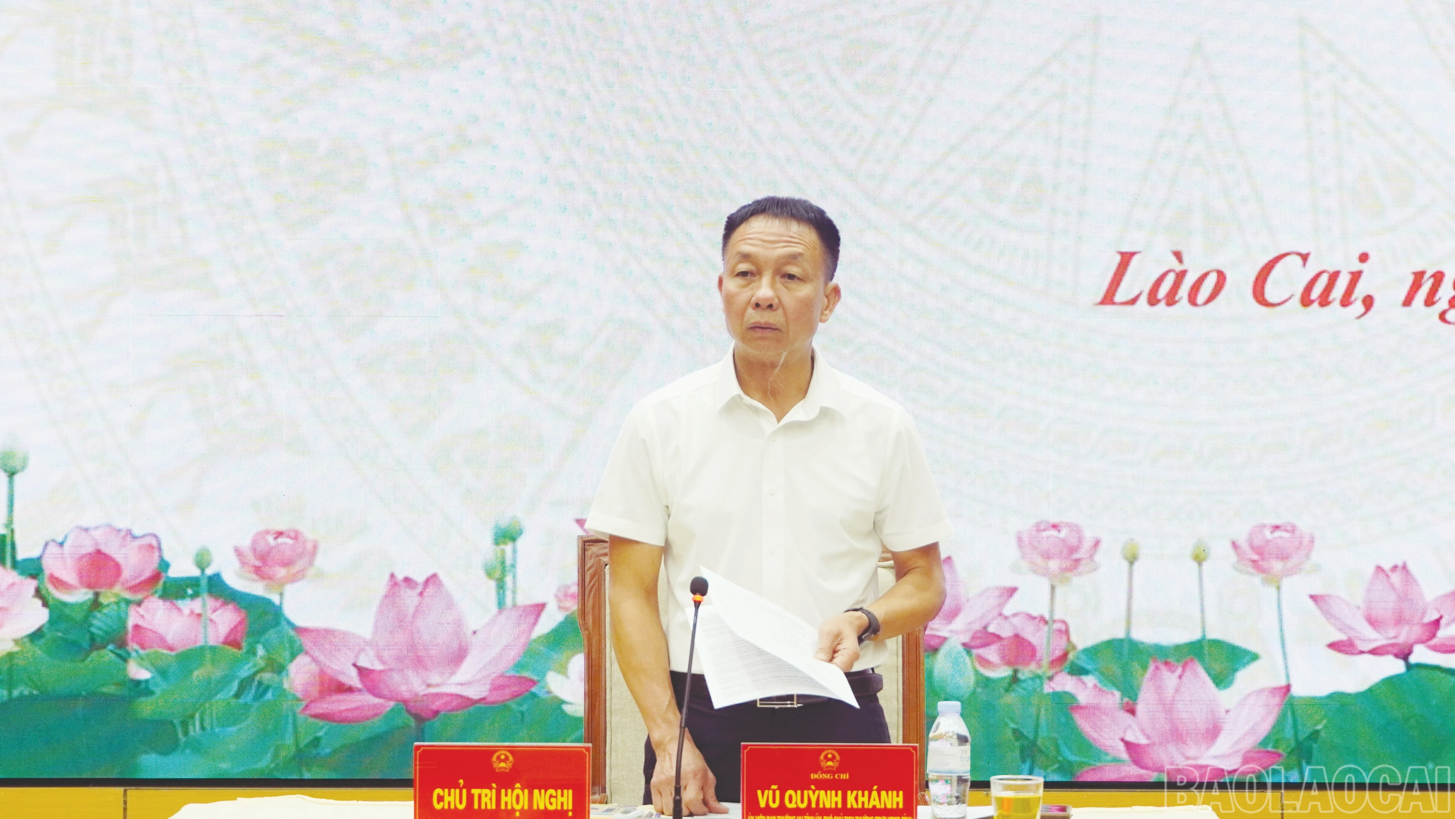 baolaocai-br_11-4385.jpg