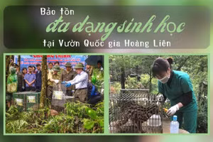 Bảo tồn đa dạng sinh học tại Vườn Quốc gia Hoàng Liên