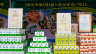 The Dai Phu An plant-based essential oil products from Van Yen District are currently being submitted for evaluati&#111;n as 5-star OCOP items in the near future.
