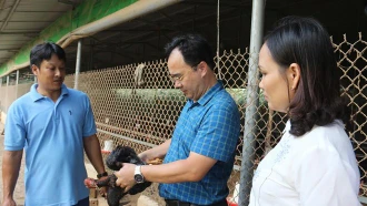 Chủ tịch Hội Nông dân tỉnh Giàng A Câu thăm mô hình nuôi gà thương phẩm của hội viên.