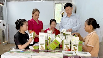 Hợp tác xã Tiến Thành T&T vươn lên từ học và làm theo Bác