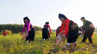 Yên Bái khai thác giá trị của các nét văn hóa đặc trưng của các dân tộc để phát triển du lịch