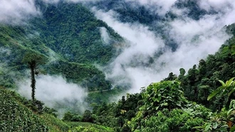 Đèo Khau Phạ (xã Cao Phạ, huyện Mù Cang Chải, Yên Bái) được bao bọc bởi những tán rừng nguyên sinh nên khí hậu quanh năm mát mẻ, tr&#111;ng lành.