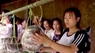 Hội phụ nữ các cấp đã tăng cường đào tạo, hướng nghiệp, dạy nghề, giới thiệu việc làm cho phụ nữ vùng nông thôn, vùng đồng bào dân tộc, hỗ trợ cho phụ nữ nghèo, có hoàn cảnh khó khăn vươn lên tr&#111;ng cuộc sống.