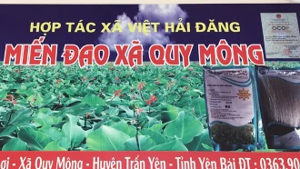 Miến đao Quy Mông - phát triển sản phẩm trên vùng nguyên liệu