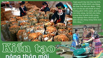 Yên Bái đưa nông nghiệp tăng trưởng bền vững
