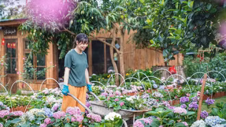 Tourism establishments across the province are enhancing green, clean, and beautiful landscapes to attract summer visitors.