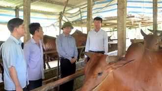 Chủ tịch UBND tỉnh Trần Huy Tuấn kiểm tra các chương trình mục tiêu quốc gia tại huyện Văn Chấn