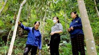 Vốn chính sách đồng hành cùng người dân đất quế Văn Yên