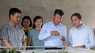 Đoàn công tác tỉnh Lào Cai tham quan một số mô hình phát triển kinh tế, xây dựng nông thôn mới tại huyện Trấn Yên