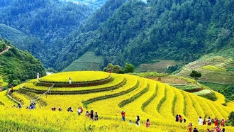 Du khách tham quan, khám phá vẻ đẹp ruộng bậc thang tại xã La Pán Tẩn.