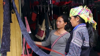 Các mô hình phát triển kinh tế của chị em phụ nữ Mù Cang Chải cho thu nhập hàng trăm triệu đồng mỗi năm.