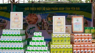 Các sản phẩm OCOP của Công ty TNHH nam dược Đại Phú An, huyện Văn Yên.