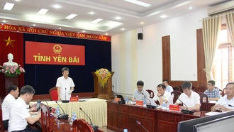 Yên Bái tham dự Hội nghị trực tuyến về công tác GPMB và tình hình thực hiện Dự án đường dây 500kV Lào Cai – Vĩnh Yên