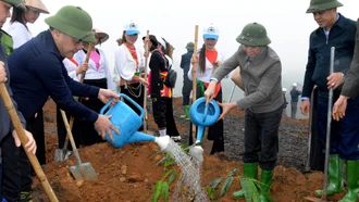 Các đồng chí lãnh đạo tỉnh Yên Bái dự Lễ hưởng ứng “Tết trồng cây đời đời nhớ ơn Bác Hồ” xuân Giáp Thìn 2024