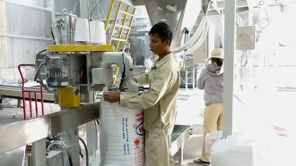Sản xuất tinh bột sắn tại Nhà máy Sắn Văn Yên.