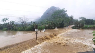 Các huyện vùng cao cần đề phòng lũ quét, sạt lở đất