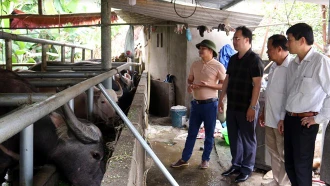 Ông Giàng A Câu - Chủ tịch Hội Nông dân tỉnh (thứ 2 từ trái sang) thăm HTX Dịch vụ tổng hợp Thiên An tại thôn Cây Tre, xã Xuân Lai, huyện Yên Bình.