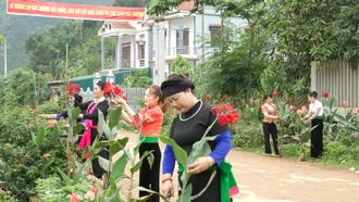 Đường hoa nông thôn mới ở xã Yên Phú, huyện Văn Yên.