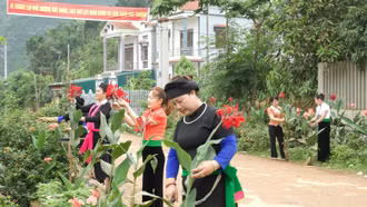 Đường hoa nông thôn mới ở xã Yên Phú, huyện Văn Yên.