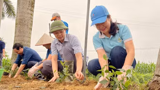 Đồng chí Phan Thanh Yên - Chủ tịch Hội Liên hiệp Phụ nữ huyện Yên Bình là cán bộ Đề án 11 (ngoài cùng, bên phải) tham gia trồng cây cùng người dân trong “Ngày thứ Bảy cùng dân”.