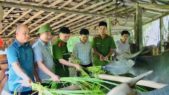Chủ tịch UBND huyện Văn Yên Hà Đức Anh (đội mũ) kiểm tra mô hình chăn nuôi đại gia súc xã Ph&#111;ng Dụ Thượng.