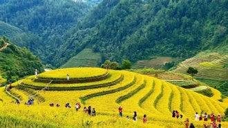 Du khách khám phá vẻ đẹp của ruộng bậc thang tại xã La Pán Tẩn, huyện Mù Cang Chải (Yên Bái).