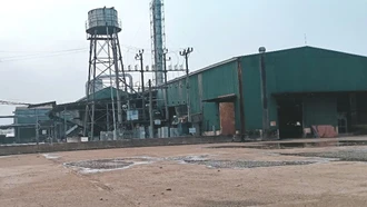 Sắn rớt giá mạnh, người dân không muốn thu hoạch nên Nhà máy Sắn Văn Yên “im ắng” trong tình trạng thiếu nguyên liệu (ảnh chụp ngày 14/3).