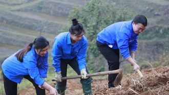 Đoàn viên thanh niên huyện Mù Cang Chải giúp dân làm đường giao thông nông thôn tại bản Háng Cháng Lừ, xã Khao Mang. Ảnh minh họa