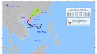 Bản đồ dự báo quỹ đạo và cường độ bão số 01 lúc 5 giờ ngày 14/6/2025.