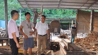 Lãnh đạo xã Minh Tiến và Ngân hàng Chính sách xã hội huyện Lục Yên kiểm tra mô hình sản xuất ván xẻ của gia đình anh Nguyễn Văn Việt ở thôn Tổng Táng.