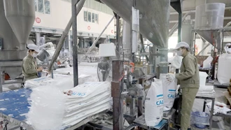Sản xuất hạt nhựa phụ gia tại Công ty cổ phần An Tiến Industries, Khu Công nghiệp phía Nam.