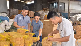 Anh Phí Văn Tiệp (ngoài cùng bên trái) cùng cán bộ xã An Thịnh kiểm tra sản phẩm quế điếu của Công ty.