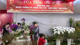 Thành phố Yên Bái khai mạc Hội Hoa Xuân và trao giải chỉnh trang đường phố Tết Nguyên đán Ất Tỵ 2025
