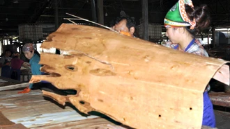 Người lao động tại Công ty cổ phần Yên Thành (huyện Yên Bình) tr&#111;ng dây chuyền sản xuất.