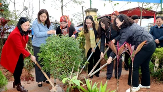 Hội Đông y tỉnh phát động trồng cây thuốc Xuân Ất Tỵ 2025