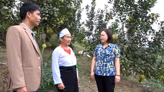 Lãnh đạo Phòng Dân tộc huyện Trấn Yên và UBND xã Quy Mông tham quan mô hình kinh tế của bà Phùng Thị Ý.