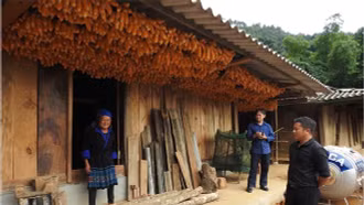 Yên Bái đã hỗ trợ xây dựng gần 800 nhà ở cho hộ nghèo dân tộc thiểu số, giúp các hộ yên tâm phát triển sản xuất, nâng cao đời sống.Yên Bái đã hỗ trợ xây dựng gần 800 nhà ở cho hộ nghèo dân tộc thiểu số, giúp các hộ yên tâm phát triển sản xuất, nâng cao đời sống.